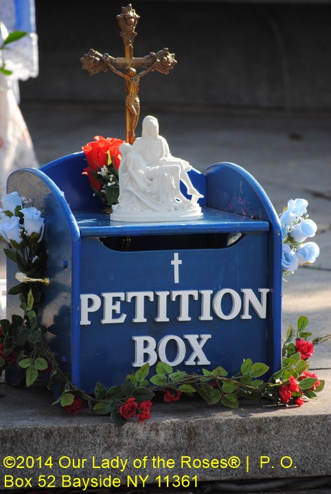 Contact Us Petition Box